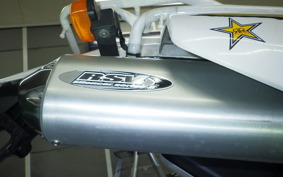 YAMAHA TT250R RAID 2013 4GY
