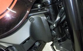 KAWASAKI Z900RS 2019 ZR900C