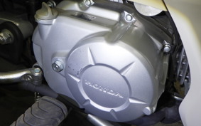 HONDA C50 SUPER CUB 2024 AA04