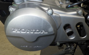 HONDA APE 100 2023 HC07