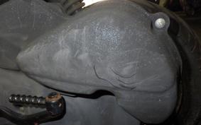 SUZUKI ADDRESS V50 Gen.2 2025 CA44A