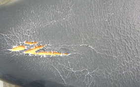 YAMAHA MATE 90 UB02J