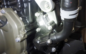 HUSQVARNA SVARTPILEN 250