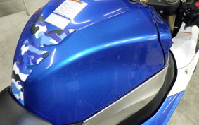 SUZUKI GSX-R1000 2010