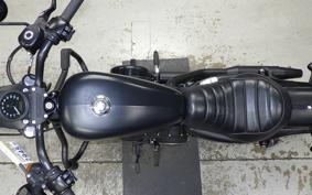 HARLEY XL883N 2018