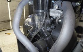 SUZUKI Vｽﾄﾛｰﾑ250A 2007