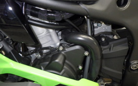KAWASAKI ZX-4RR 2024 ZX400P