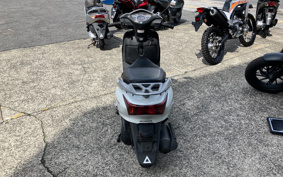 HONDA LEAD 110 JF19
