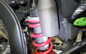 KAWASAKI KLX250D TRACKER X 2024 LX250V