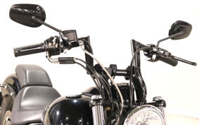 HARLEY FXS 2011 JP5