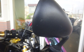 YAMAHA FZ1 FAZER 2009 RN17