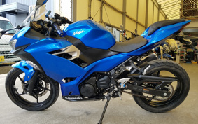 KAWASAKI NINJA 250 EX250P