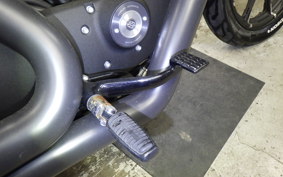 HARLEY XL883N 2019