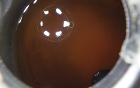 HONDA C70 SUPER CUB 1985 C70