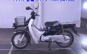 OTHER C110PU LOW 2