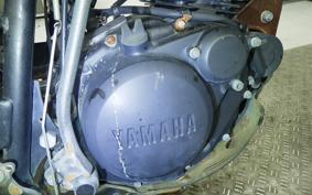 YAMAHA TW225 2008 DG09J