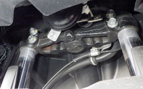 YAMAHA CYGNUSｸﾞﾘﾌｧｽ SEJ4J