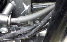 KAWASAKI ZX-4R SE 2024 ZX400P