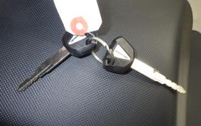 KAWASAKI NINJA 1000 SX 2021 ZXT02K