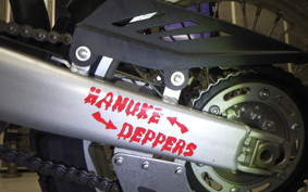 YAMAHA WR250R 2022 DG15J