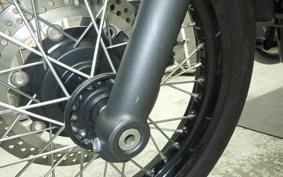 KAWASAKI W800 CAFE 2020 EJ800B