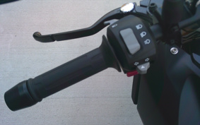 BMW G310GS 2025 0G31