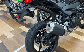 KAWASAKI Z250 EX250P