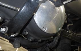 HARLEY XL883N 2010