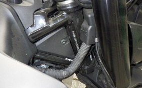 HUSQVARNA SVARTPILEN 401 2024