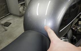 TRIUMPH SPEED TWIN 2019