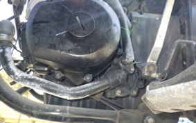 KAWASAKI ELIMINATOR 250 SE EL250A