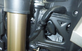 HONDA CB125 R 2010 JC91