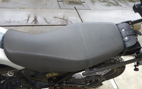 YAMAHA TT250R RAID 4GY