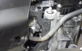 HONDA GIORNO 3 AF77