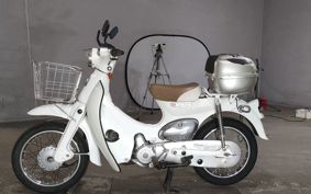 HONDA LITTLE CUB AA01