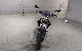 KAWASAKI D-TRACKER LX250E