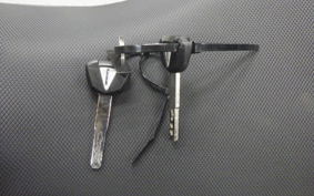 KAWASAKI Z250 Gen.2 EX250Y