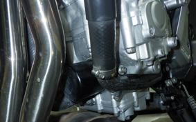 YAMAHA FZ1 FAZER 2008 RN21J