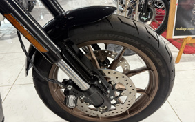 HARLEY  HARLEY FXLRS 2023 YWZ