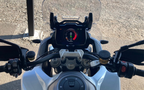 TRIUMPH  TRIUMPH  TIGER 1200GTPRO 2024 TAP22V