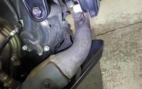 HUSQVARNA SVARTPILEN 401 2024