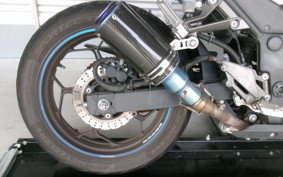 KAWASAKI NINJA 250 EX250L
