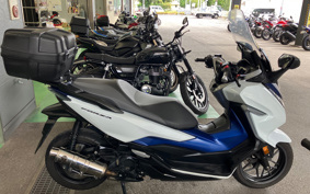 HONDA  FORZA 250 MF13