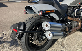 HARLEY  HARLEY FXFBS 2025 YLK