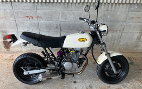 HONDA APE100 HC07