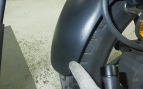 HONDA REBEL 250 2007 MC49