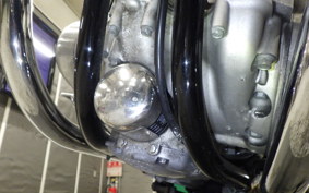 KAWASAKI W800 2024 EJ800E