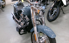 HARLEY  HARLEY FLFBS 2024 YGK