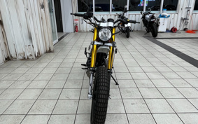 OTHER RAY ZA- BACK 250 ...