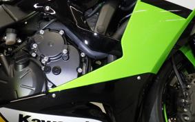 KAWASAKI NINJA ZX-6R A 2025 ZX636J